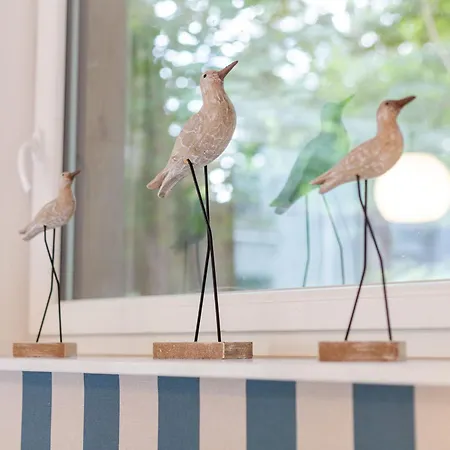 Ejas Haus Am Tatil Evi Lubmin